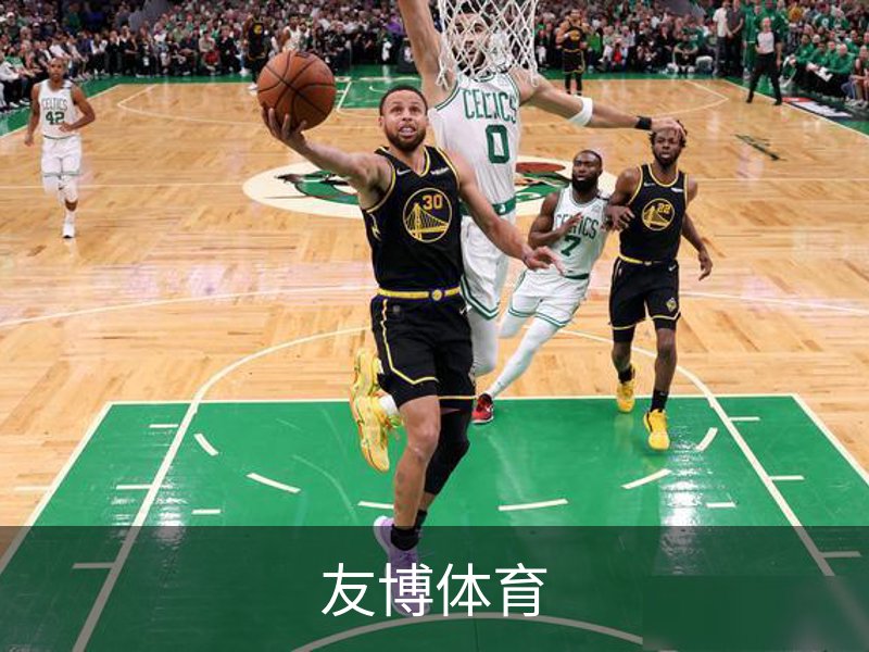 友博体育概况